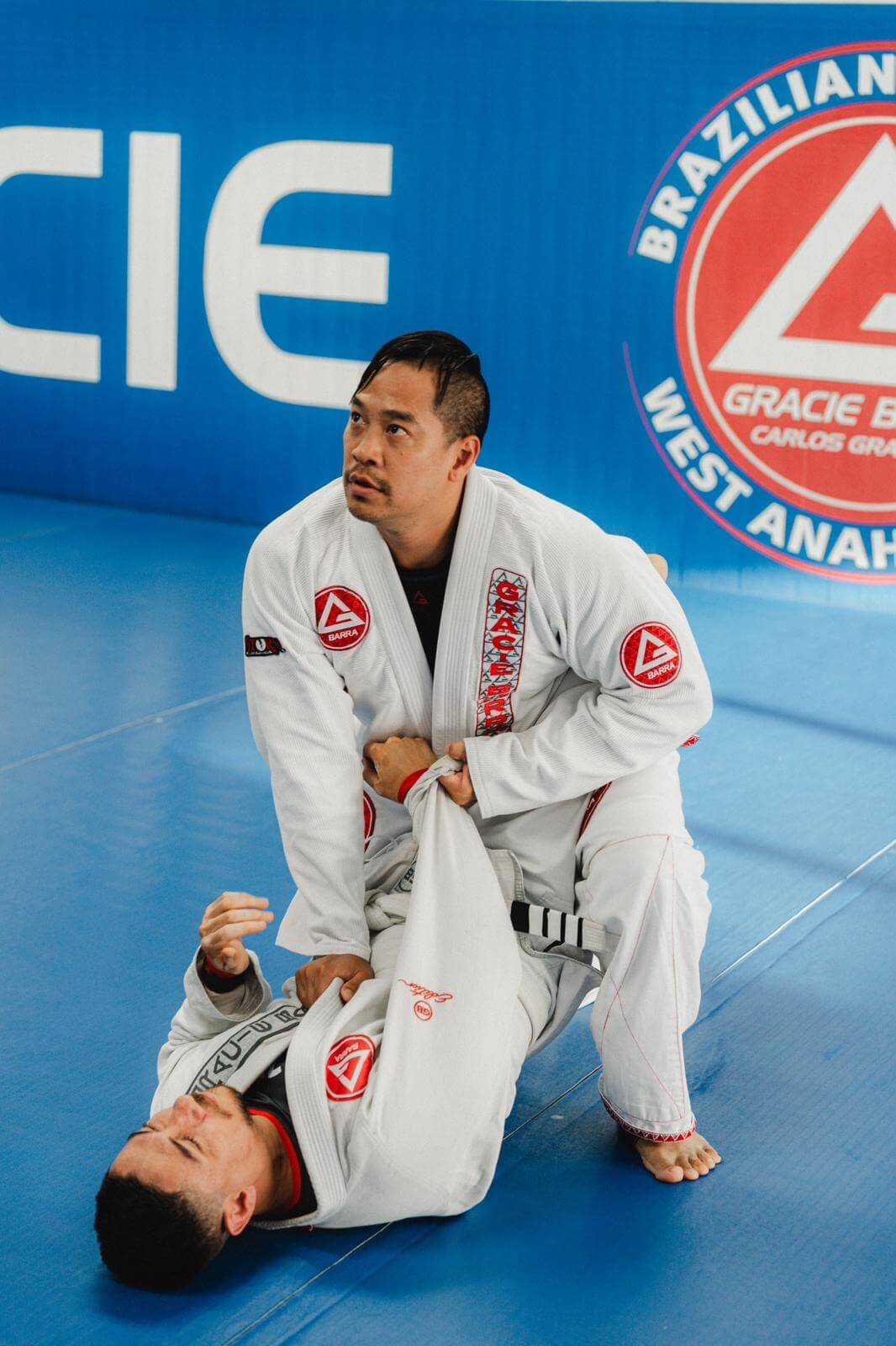 Private Jiu Jitsu Lessons in Anaheim